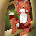 commission done by Choki1003