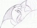 Cat Doodle Sketch