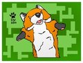 SlySockFox