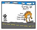 Gotta go fast