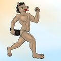 See Connor Run
