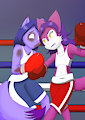 Foxes on the ring