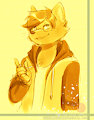 Hoodie String