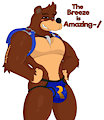 Banjo's Rare-Wear