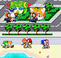 Team Sonic And Team Girlfriend Date