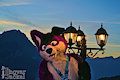 Happy Fursuit Friday
