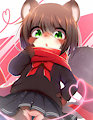 Raccoon by nef336