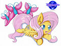 Comm: Chibi Fluttershy