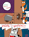 ZWSC - Here’s Harry