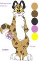 Ironmania reference sheet