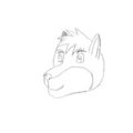 Izzy head try number 3 by IzzyTheWolf