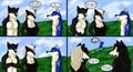 Too Much Thought