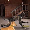 Castles hounds