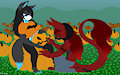 Jack o Lantern Belly