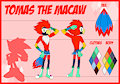SS Reference Tomas the Macaw by SkullKingFox