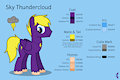 A Reference Sheet for Sky Thundercloud