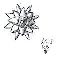 Inktober 17 - Ornament