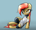 Dala wet by JetWave