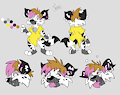 Rachel ref sheet