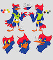 Janet ref sheet