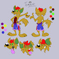 Tempest ref sheet