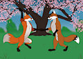Fox dance by Mearcu