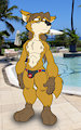Red Savarin