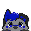 Peek-a-boo! (by Feve)