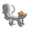 Smol skunkie!