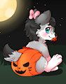 Paw Patrol : Bumpkin
