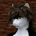 Random renders