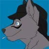 Character Reference for MaxCoyote ==LARGE FILE! 2MB!== by MaxCoyote