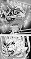 Furry Fight Chronicles Chapter 18: Falling