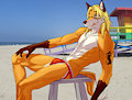 The Beach Watch ^^