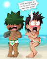 Gadget and Bourbon at the Beach