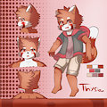 Commission Reff sheet