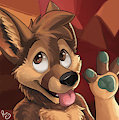 Odie Coyote