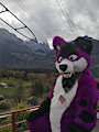 Happy Fursuit Friday by Pawalo