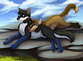 Two Canines, One Rock // By Nordwolfe by NovakC