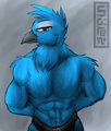 I have a Twitter! (See description)