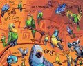 something or other to do with birds