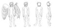 Commissioned character ref sheet line work.