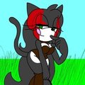 Cleocatra the cat 