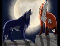 Howling To A Truce