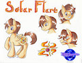 Comm: Solar Flare