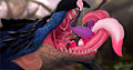 Hungry Rathalos by cinderkiss