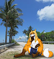 Under Palm Trees ^^