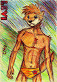 Levi - Scrrrrrible!