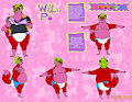 Wildberry Pi Model Sheet