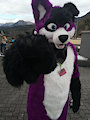 I want you for Fursuit Friday by Pawalo